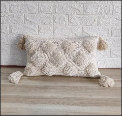 Cushion Cover 14x20 inches