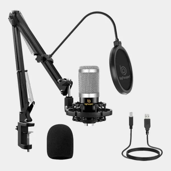 BigPassport Cardioid Microphone with Boom Arm (Pro-Sound_M800B)
