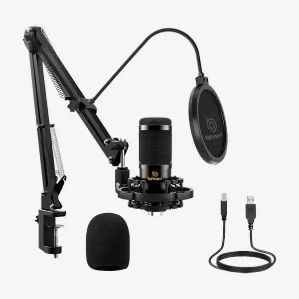 BigPassport Cardioid Microphone with Boom Arm (Pro-Sound_M800B)