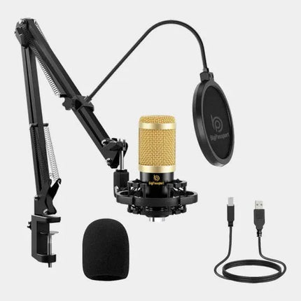 BigPassport Cardioid Microphone with Boom Arm (Pro-Sound_M800B)